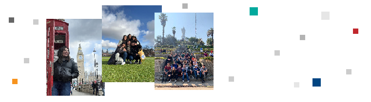 Departamento de Relaciones Internacionales e Interuniversitarias (DRII)