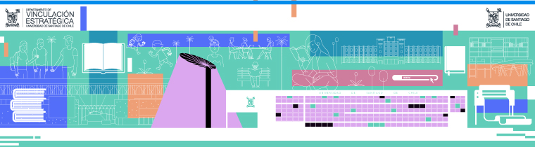 Programa Fomento VIME