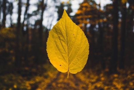 Jornadas estivales de gestión ambiental local: fomentando transformaciones territoriales