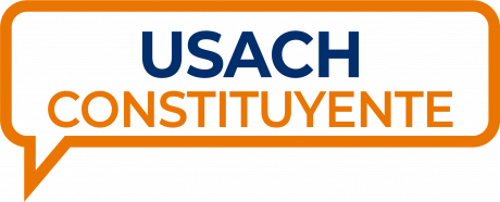 Usach Constituyente - Tecnologías de Información y participación ciudadana: ¿cómo canalizar la voz de la ciudadanía en el Proceso Constituyente?