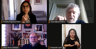 Dr. José Gabriel Palma analizó modelos de desarrollo y cambio constitucional en webinar de Usach Constituyente