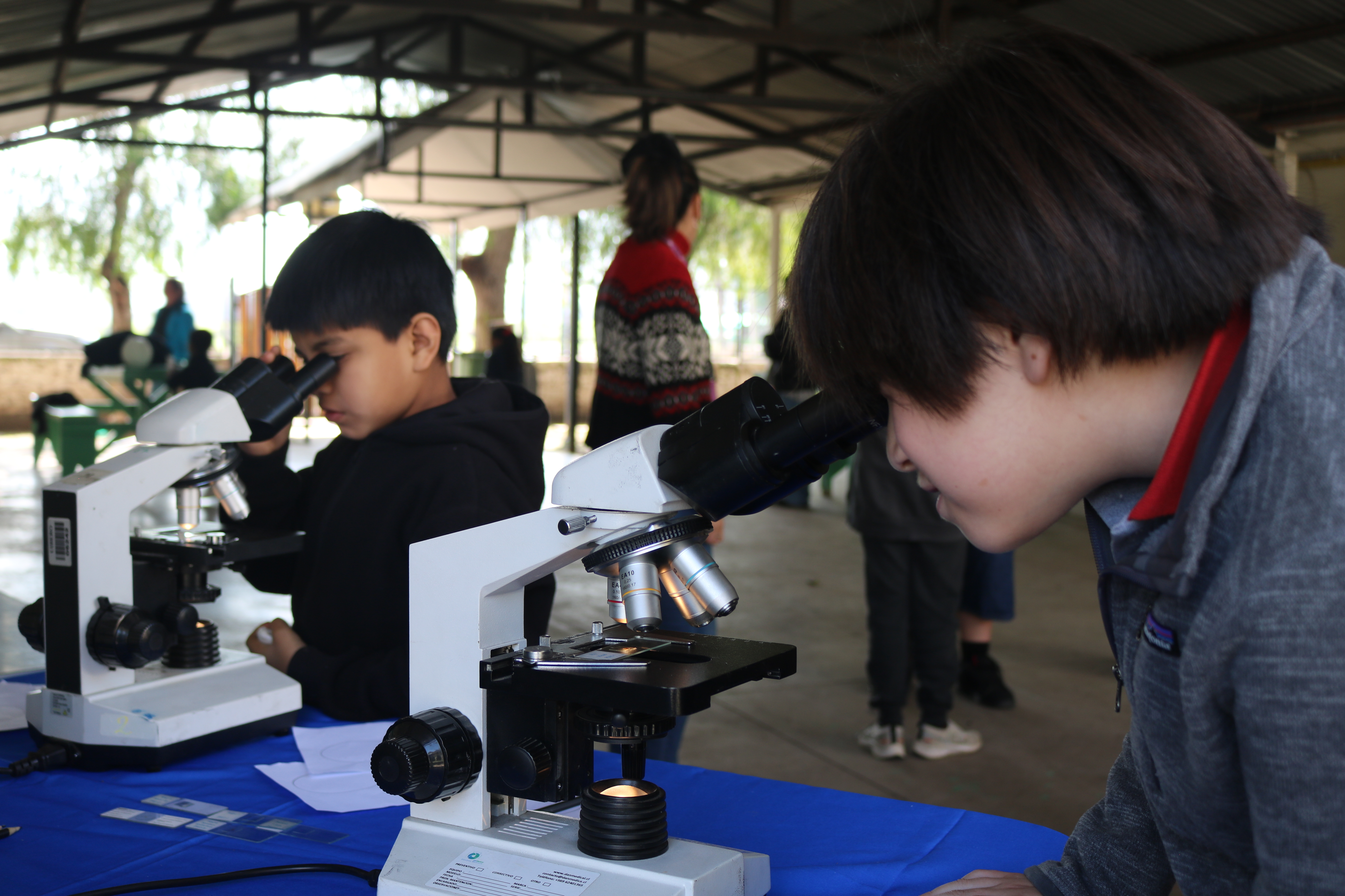 Dos estudiantes observando muestras orgánicas en microscopios.