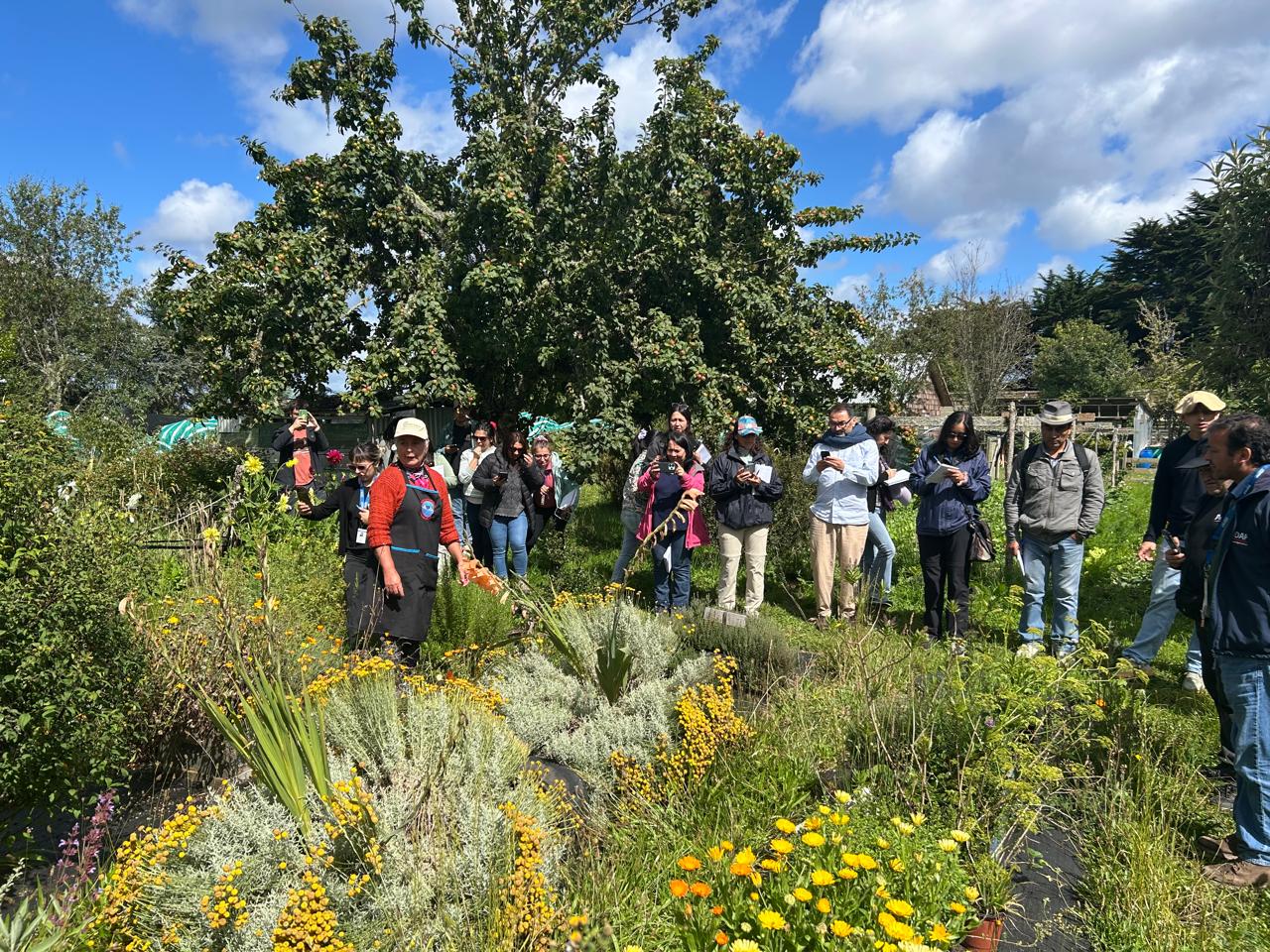 Profesionales de INDAP realizan trabajos de huerto en el marco de la escuela.