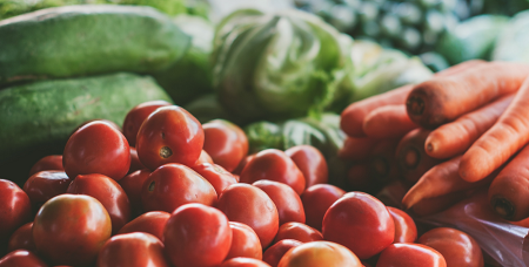 Charla “Introducción a las Enfermedades Transmitidas por Alimentos”