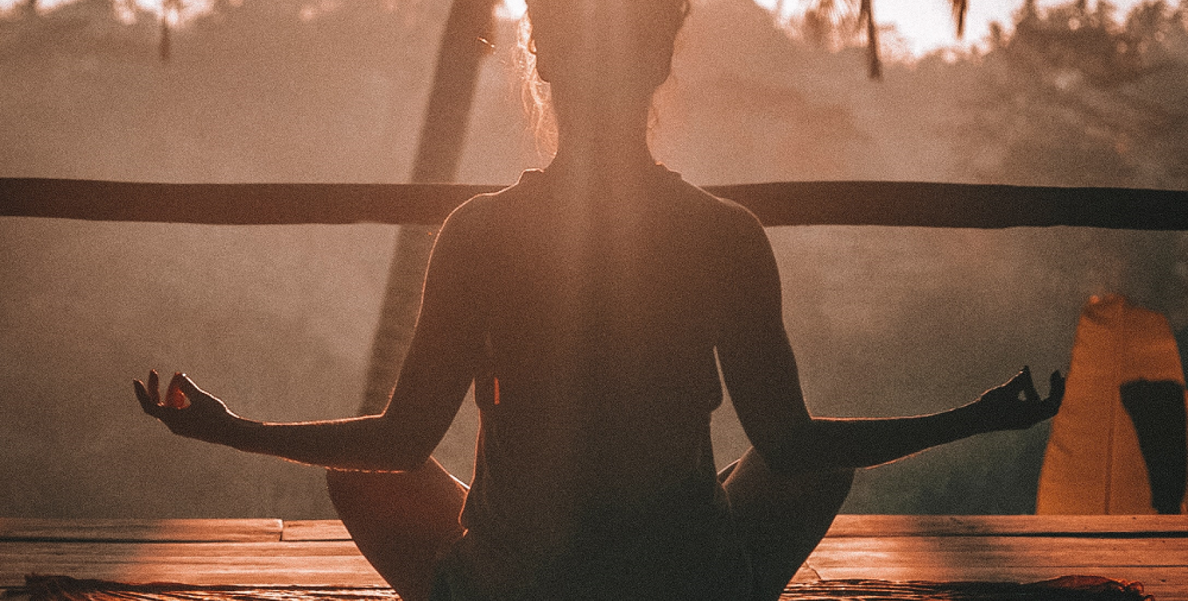 Alimentación y Movimiento para el bienestar humano