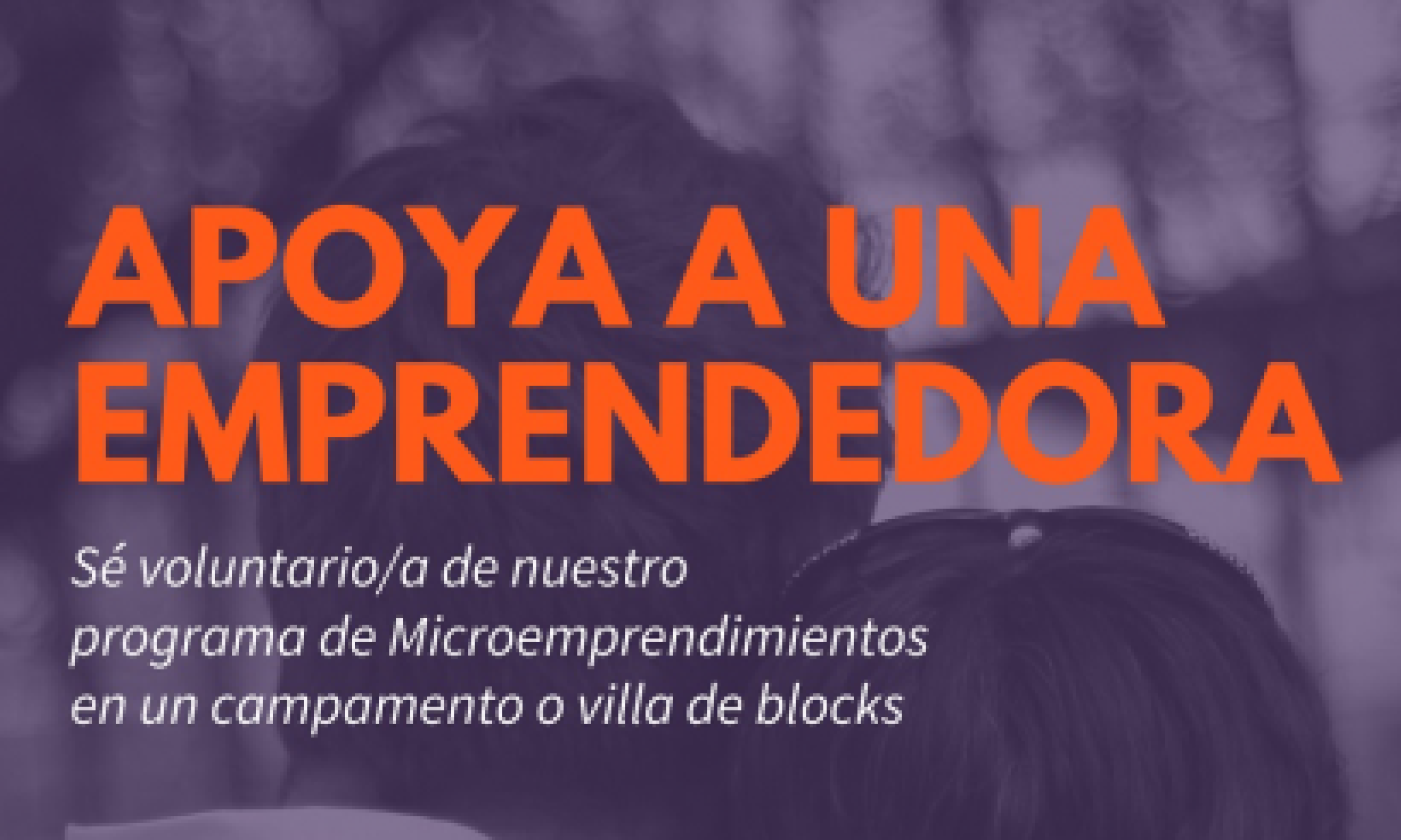¡Participa como voluntario en Programa de Microemprendimiento!