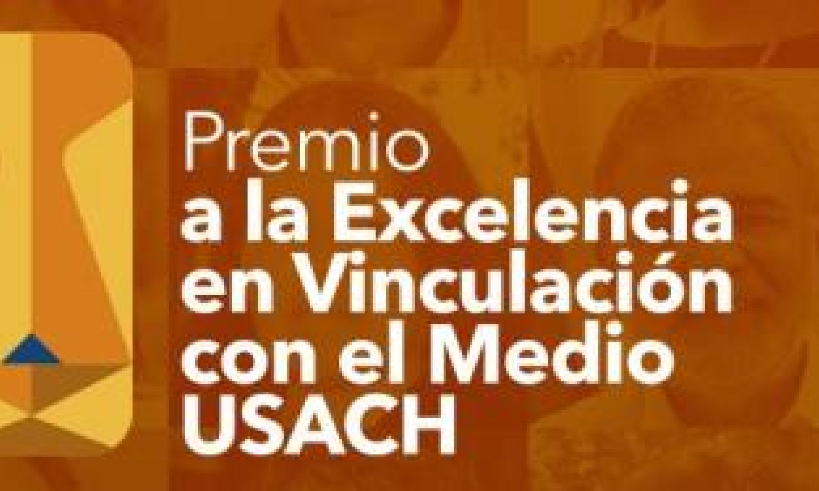 Dan a conocer ganadoras y ganadores de Premio a la Excelencia en Vinculación con el Medio Usach