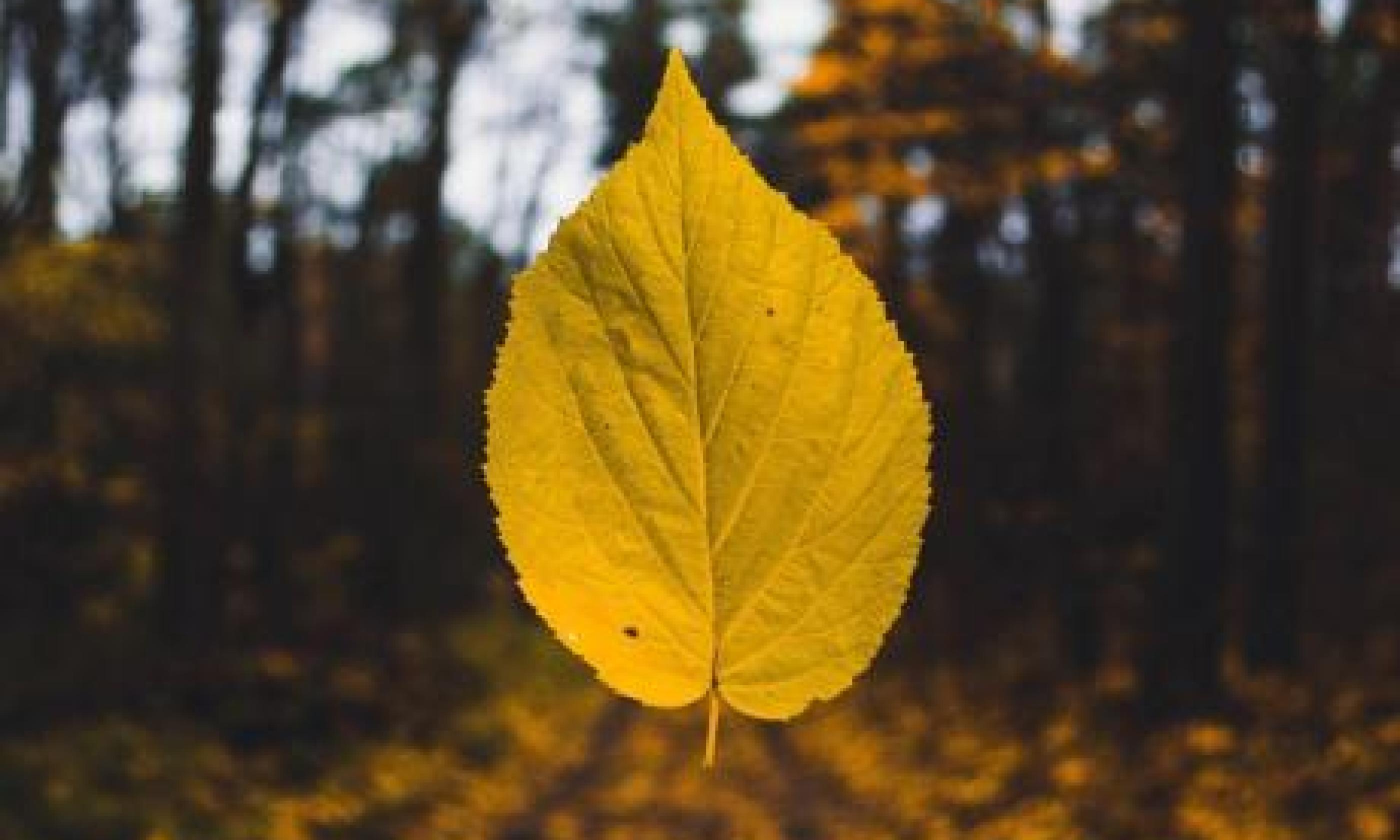 Jornadas estivales de gestión ambiental local: fomentando transformaciones territoriales