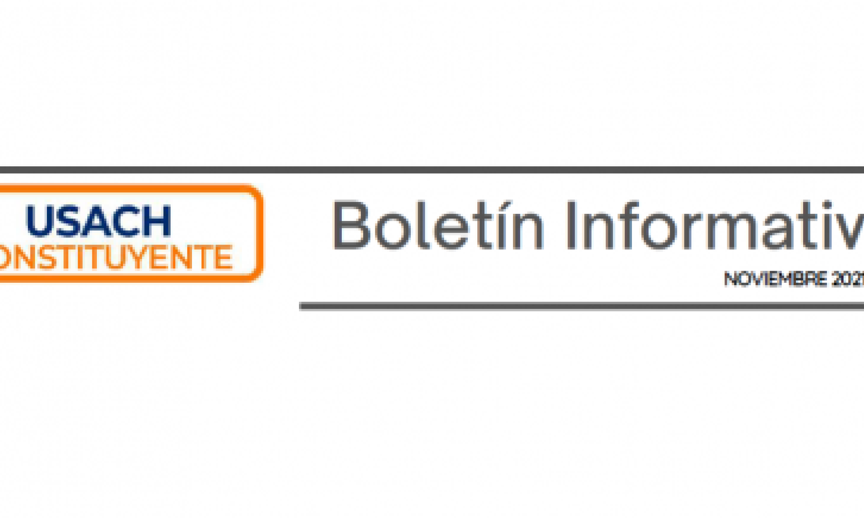 Boletín Informativo N°4 de Usach Constituyente