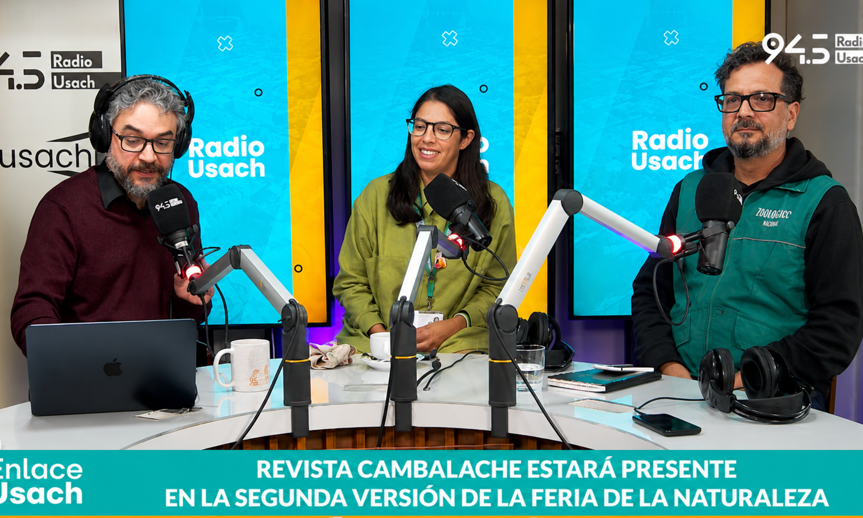 programa en vivo