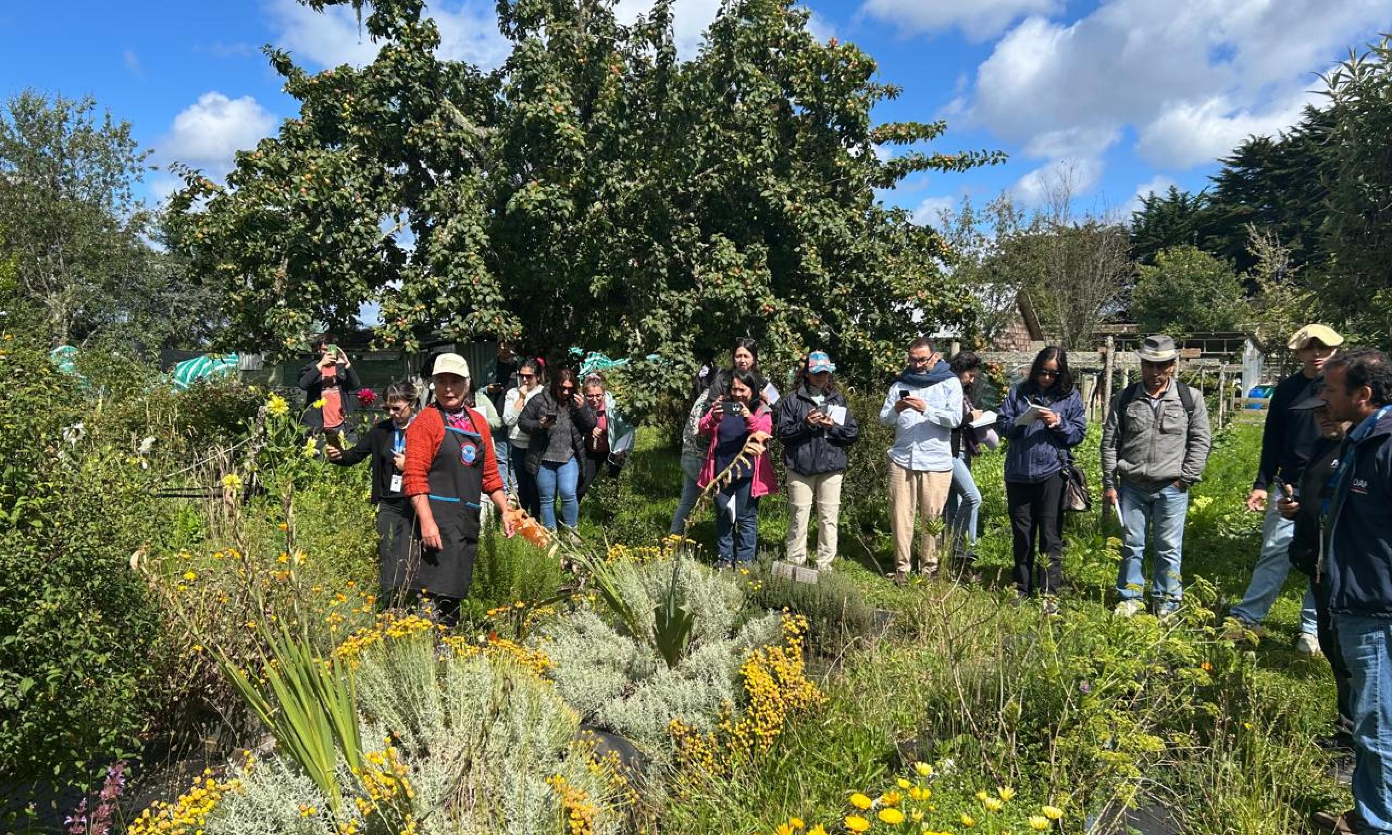 Profesionales de INDAP realizan trabajos de huerto en el marco de la escuela.