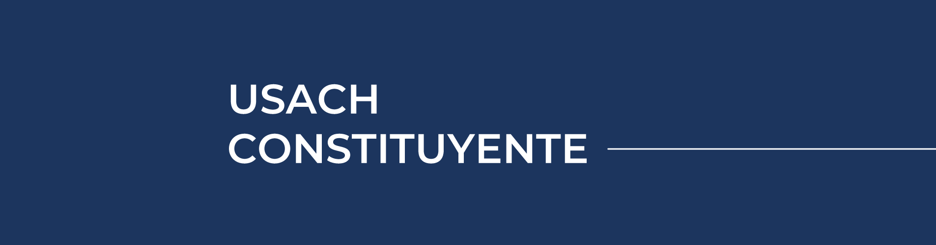 Talleres "Policy Brief" - Usach Constituyente