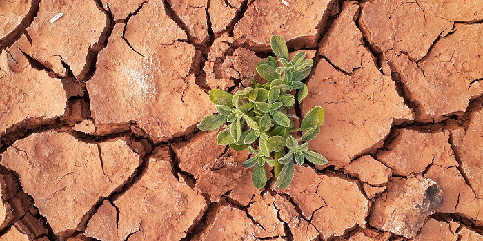 Conferencia “Transición Energética. Perspectiva de Abordaje, Ejes y Acciones Frente a la Crisis Climática Global”